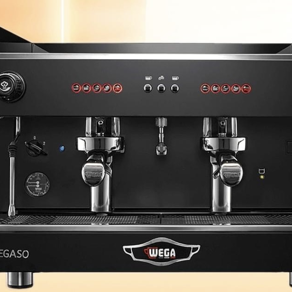 Máy pha cà phê Wega Pegaso 2 Group